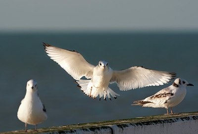 BUITEN BEELD Foto: 169890