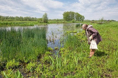 BUITEN BEELD Foto: 169894