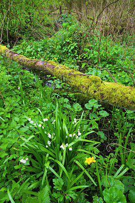 BUITEN BEELD Foto: 169902