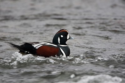 BUITEN BEELD Foto: 169903