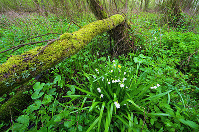 BUITEN BEELD Foto: 169906