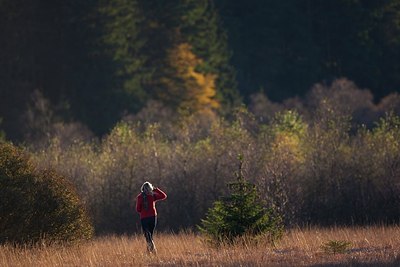 BUITEN BEELD Foto: 169948