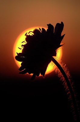 BUITEN BEELD Foto: 169952