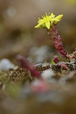 BUITEN BEELD Foto: 169962