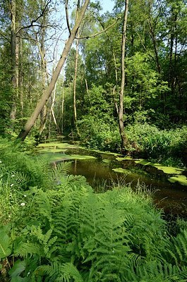 BUITEN BEELD Foto: 169970