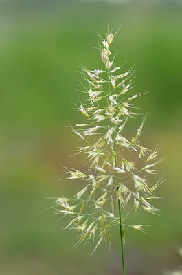 BUITEN BEELD Foto: 169976