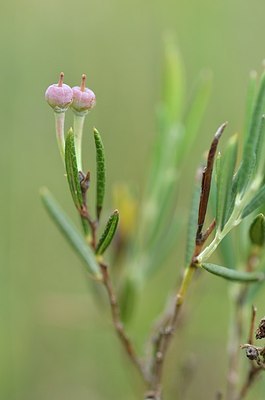 BUITEN BEELD Foto: 169998