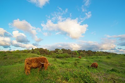 BUITEN BEELD Foto: 170002