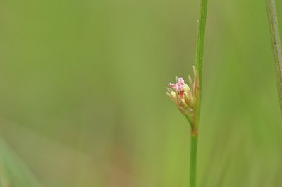 BUITEN BEELD Foto: 170008