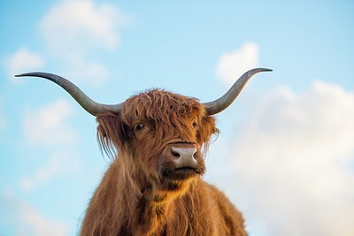 BUITEN BEELD Foto: 170013