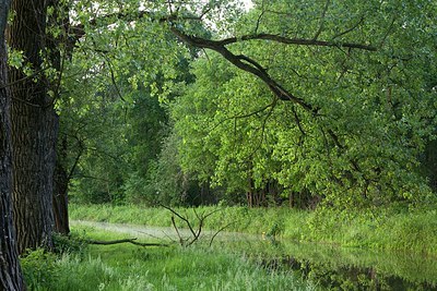 BUITEN BEELD Foto: 170019