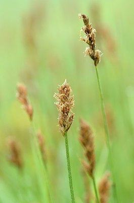 BUITEN BEELD Foto: 170036