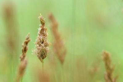 BUITEN BEELD Foto: 170038