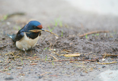 BUITEN BEELD Foto: 170052