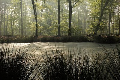 BUITEN BEELD Foto: 170060