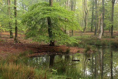 BUITEN BEELD Foto: 170063