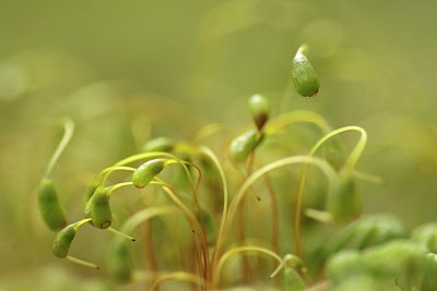 BUITEN BEELD Foto: 170082