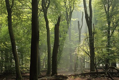 BUITEN BEELD Foto: 170084
