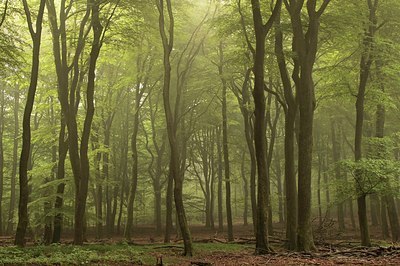 BUITEN BEELD Foto: 170085