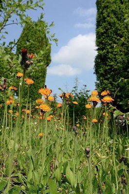 BUITEN BEELD Foto: 170154