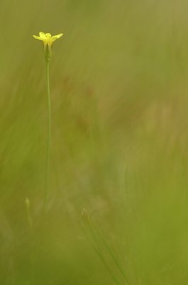 BUITEN BEELD Foto: 170190