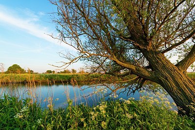 BUITEN BEELD Foto: 170234