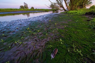 BUITEN BEELD Foto: 170239
