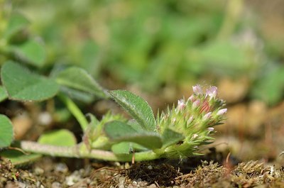 BUITEN BEELD Foto: 170258