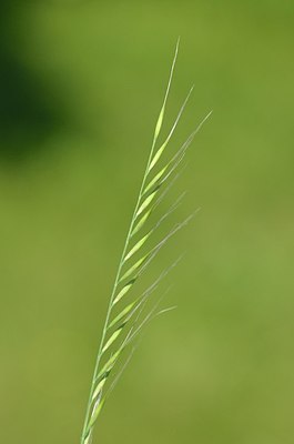 BUITEN BEELD Foto: 170263