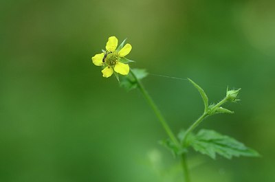 BUITEN BEELD Foto: 170270