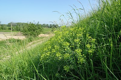 BUITEN BEELD Foto: 170274