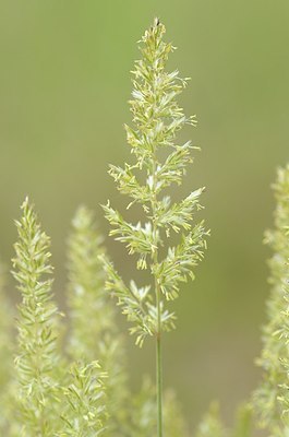 BUITEN BEELD Foto: 170296