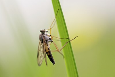 BUITEN BEELD Foto: 170323
