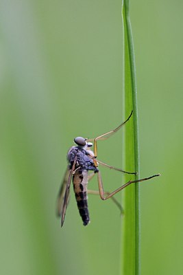 BUITEN BEELD Foto: 170327