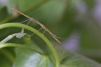 BUITEN BEELD Foto: 170337