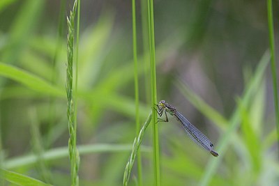 BUITEN BEELD Foto: 170338
