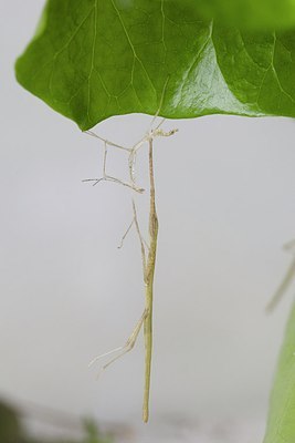 BUITEN BEELD Foto: 170339