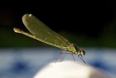 BUITEN BEELD Foto: 170366