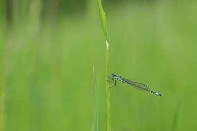 BUITEN BEELD Foto: 170372