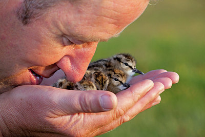 BUITEN BEELD Foto: 170396