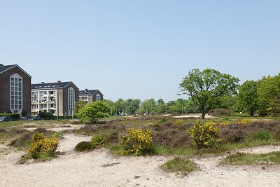 BUITEN BEELD Foto: 170425