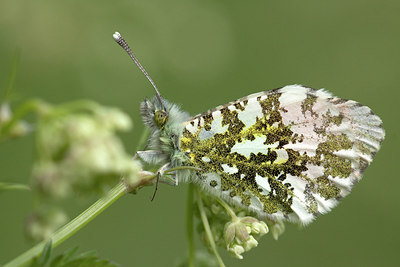 BUITEN BEELD Foto: 170439