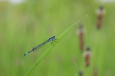 BUITEN BEELD Foto: 170449