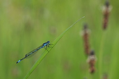 BUITEN BEELD Foto: 170450