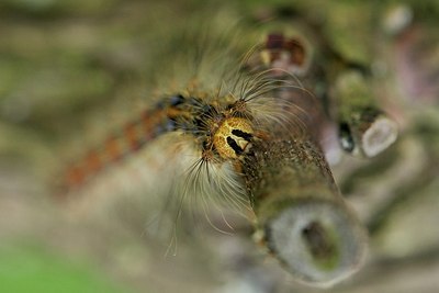 BUITEN BEELD Foto: 170469