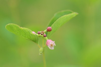 BUITEN BEELD Foto: 170477