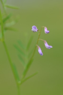 BUITEN BEELD Foto: 170479