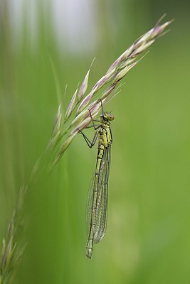 BUITEN BEELD Foto: 170480