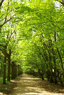 BUITEN BEELD Foto: 170484