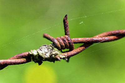 BUITEN BEELD Foto: 170496